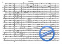 The Red And Blue Shield (Hans J. Honegger) 