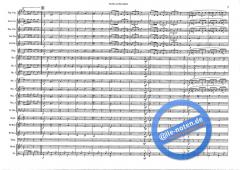 The Red And Blue Shield (Hans J. Honegger) 