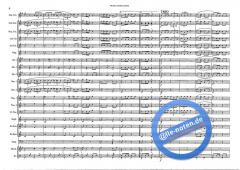 The Red And Blue Shield (Hans J. Honegger) 