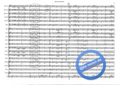 The Red And Blue Shield (Hans J. Honegger) 