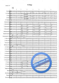 Concert Suite op. 57 (Urs Heri) 