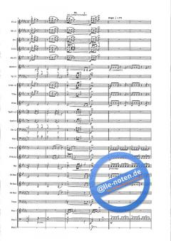 Hollywood! von Goff Richards 