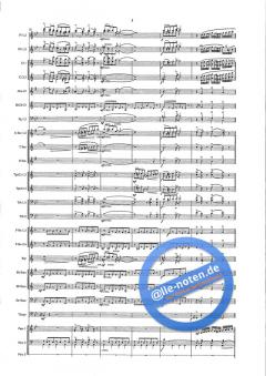 Hollywood! von Goff Richards 