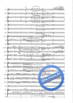 Hollywood! von Goff Richards 