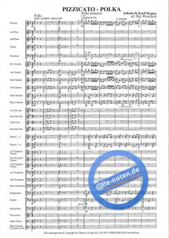 Pizzicato-Polka (Josef Strauss) 