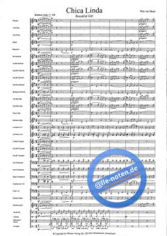 Chica Linda (Beautiful Girl) (Wim van Maart) 