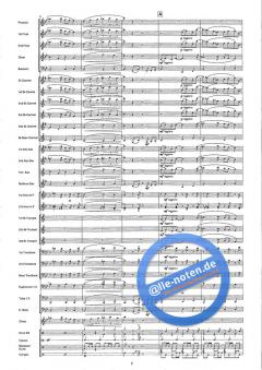 Chica Linda (Beautiful Girl) (Wim van Maart) 