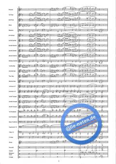 Chica Linda (Beautiful Girl) (Wim van Maart) 