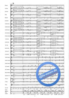 Chica Linda (Beautiful Girl) (Wim van Maart) 