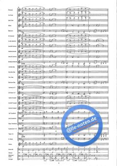 Chica Linda (Beautiful Girl) (Wim van Maart) 