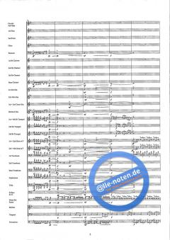 Tattoo On Stage (Christoph Walter) 