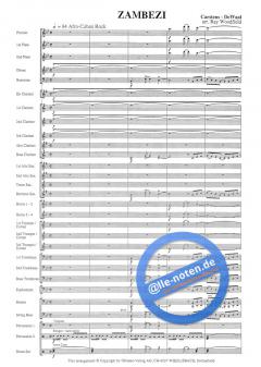 Zambezi von Nico Carstens 