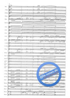 Zambezi von Nico Carstens 