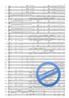 Zambezi von Nico Carstens 