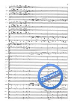 Zambezi von Nico Carstens 