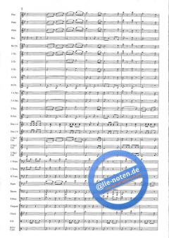 Man Of Music (Hans J. Honegger) 