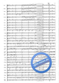 Man Of Music (Hans J. Honegger) 