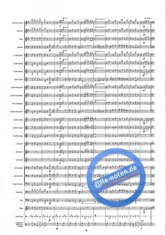 Seeland-Trumpf (Christoph Walter) 