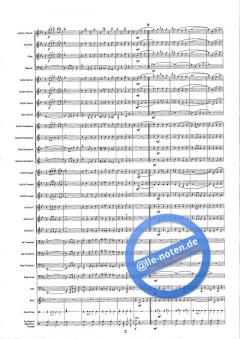 Seeland-Trumpf (Christoph Walter) 