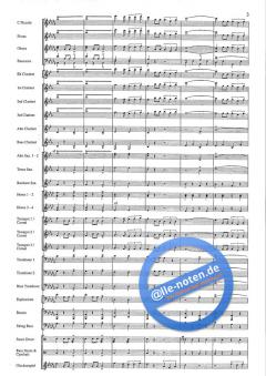 Triumph! von Hans Heusser 