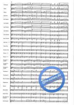 Triumph! von Hans Heusser 