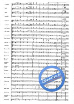 Triumph! von Hans Heusser 