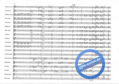 Concert Suite Op. 60 (Urs Heri) 