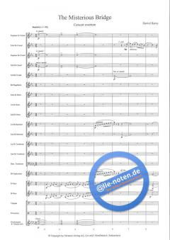 The Mysterious Bridge (Darrol Barry) 