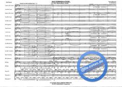 Die Dornenvögel The Thornbirds Theme (Henry Mancini) 