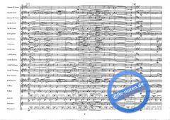 Die Dornenvögel The Thornbirds Theme (Henry Mancini) 