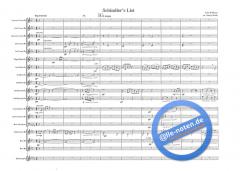 Schindler's List (John Williams) 