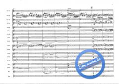 Peer Gynt Suite op. 46 (Edvard Grieg) 