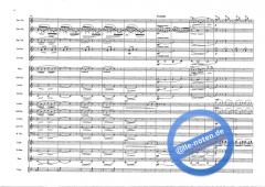 Peer Gynt Suite op. 46 (Edvard Grieg) 