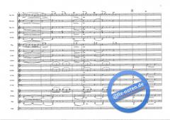 Peer Gynt Suite op. 46 (Edvard Grieg) 