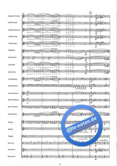 Flyin' To The Skies (Christoph Walter) 