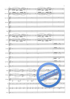 The Crazy Brass Machine (Mark Taylor) 