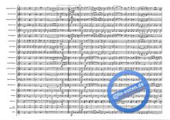 Belmont von Roy Newsome 