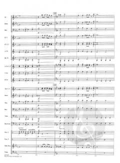 Hey Hey We're The Monkees 