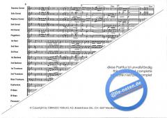 Michalska Brana (Adam Hudec) 