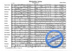 Michalska Brana (Adam Hudec) 