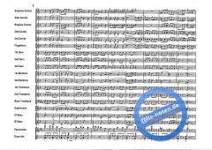 Michalska Brana (Adam Hudec) 