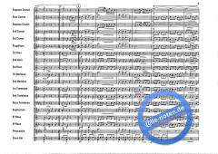 Michalska Brana (Adam Hudec) 