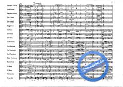 Michalska Brana (Adam Hudec) 