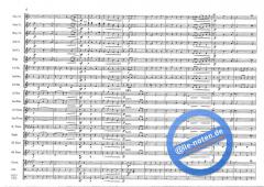 Mountain Sounds (S. Jaeggi) 