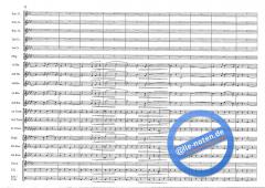 Mountain Sounds (S. Jaeggi) 