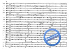 Mountain Sounds (S. Jaeggi) 