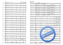 Walkabout Concert March (Ray Woodfield) 