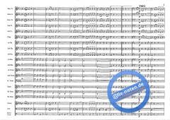 Zur Heldenfeier (Remo Boggio) 