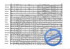 Jarna Polka von Adam Hudec 