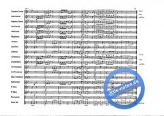 Jarna Polka von Adam Hudec 